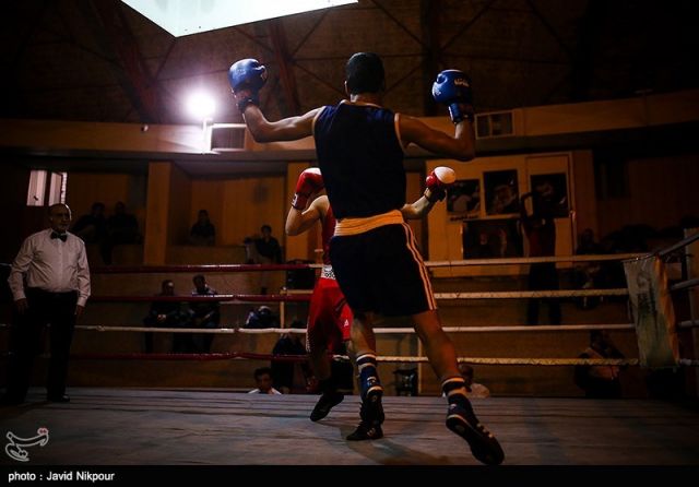 مسابقات قهرمانی بوکس استان قم با معرفی نفرات بر‌تر به پایان رسید