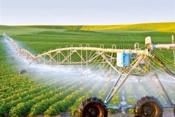 بحران آب در قم؛ کوشش جهاد کشاورزی برای کاهش استفاده آب