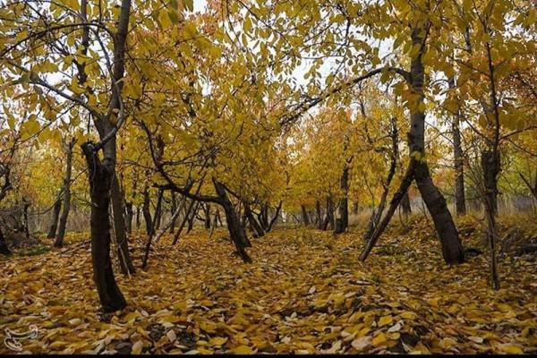طبیعت پاییزی روستاهای شهر قم به روایت عکس