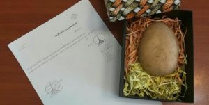 اهدای «سیب زمینی» به عراقچی توسط جنبش عدالتخواه دانشجویی