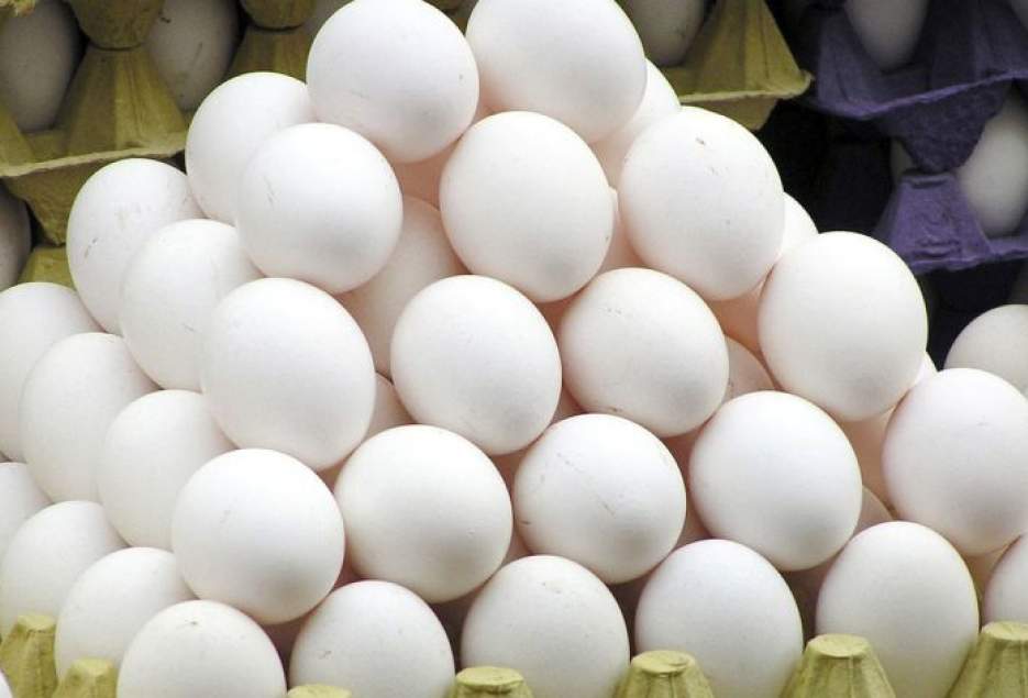 شهرکریمه – نیمی از تخم مرغ تولیدی قم به خارج از استان صادر می شود