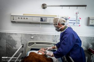 روایتی از یک همراه بیماران کرونایی – پایگاه خبری شهرکریمه | اخبار ایران و جهان
