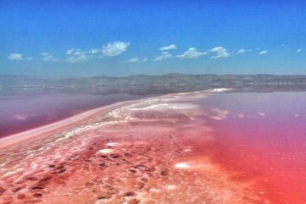 شکوفایی جلبکی، دریاچه نمک قم را قرمز کرد – پایگاه خبری شهرکریمه | اخبار ایران و جهان