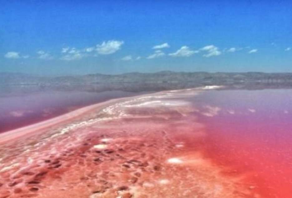 شهرکریمه – شکوفایی جلبکی، دریاچه نمک قم را قرمز کرد