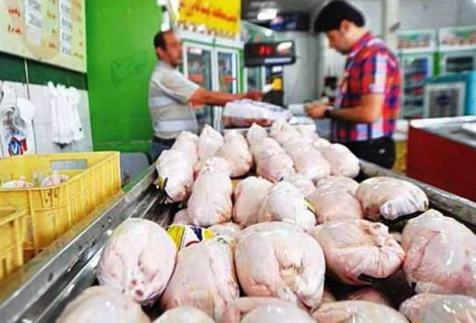شهرکریمه – ۱۷۴۰ تن مرغ به قیمت مصوب در قم توزیع شده است