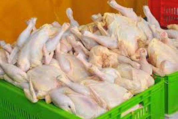 مرغ گرم با قیمت ۲۰هزار و چهارصد تومان در قم عرضه می شود – پایگاه خبری شهرکریمه | اخبار ایران و جهان