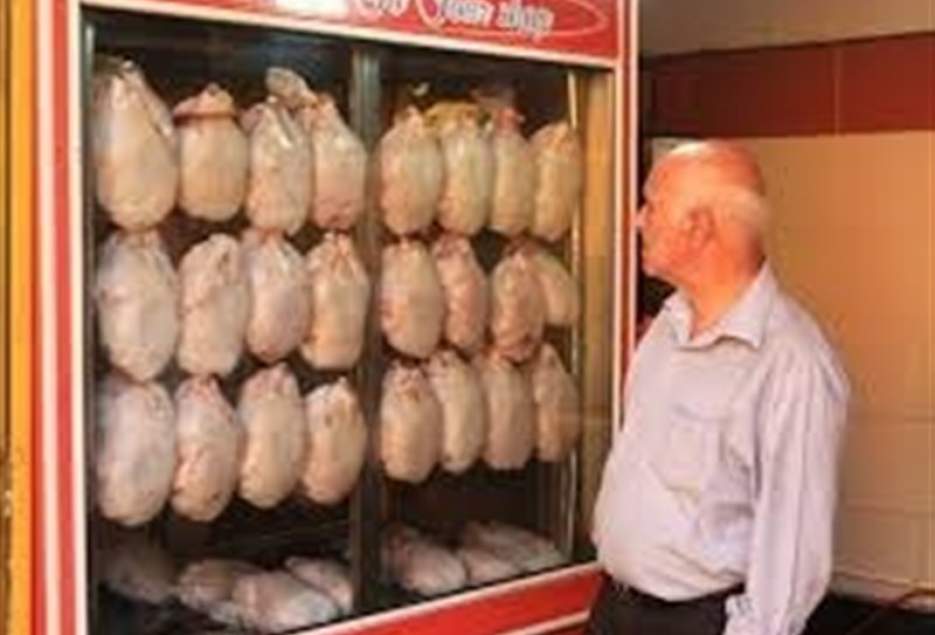 شهرکریمه – بیش از ۶۰ درصد مرغ تولیدی در قم در چرخه تنظیم بازار عرضه شد
