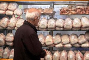 شهرکریمه – مرغ گرم با قیمت ۲۰هزار و چهارصد تومان در قم عرضه می شود
