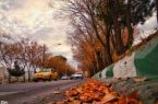 شهرکریمه – رهاسازی برگ‌های درختان خزان‌دار در بوستان‌های قم