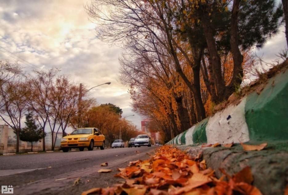 شهرکریمه – رهاسازی برگ‌های درختان خزان‌دار در بوستان‌های قم
