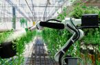 راه ‌اندازی مزرعه ‌ای که کاملا به دست ربات‌ ها اداره می‌ شود!|شهرکریمه