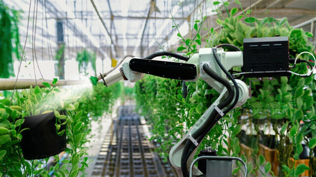 راه ‌اندازی مزرعه ‌ای که کاملا به دست ربات‌ ها اداره می‌ شود!|شهرکریمه