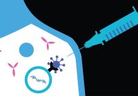 لزوم برنامه هدفمند برای حمایت از دانشمندان ایران واکسن