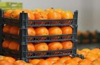 توزیع ۷۰۲ تن میوه در بازار شب عید قم