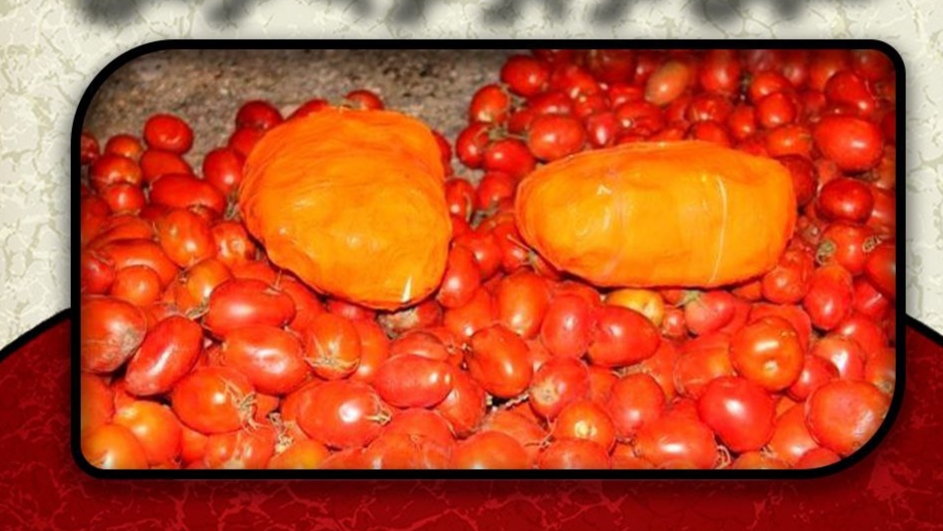 وقتی گوجه فرنگی طعم مواد مخدر می‌دهد! کشف بیش از ۹۴ کیلوگرم حشیش توسط پلیس قم